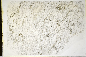 Plane Polarized, S84659