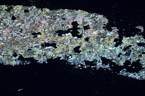 Cross Polarized, S84671