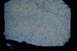 Cross Polarized, S84672