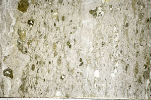 Plane Polarized, S84673