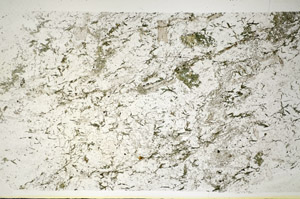 Plane Polarized, S84674