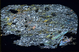 Cross Polarized, S84678