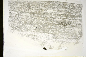 Plane Polarized, S84679