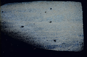 Cross Polarized, S84681