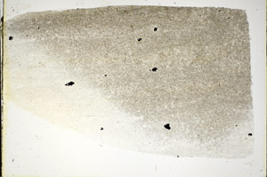 Plane Polarized, S84681