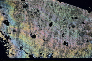 Cross Polarized, S84682