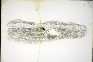 Plane Polarized, S84686