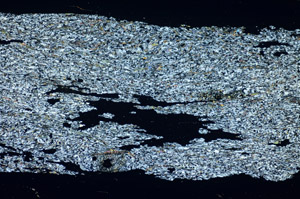 Cross Polarized, S84689