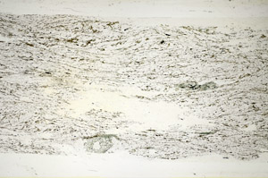 Plane Polarized, S84689
