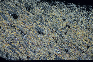 Cross Polarized, S84690