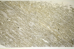 Plane Polarized, S84690