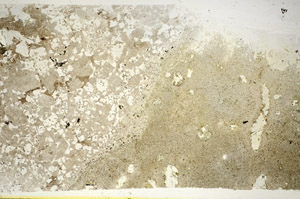 Plane Polarized, S84692