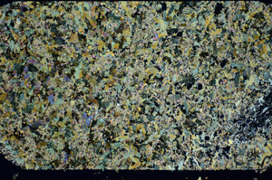 Cross Polarized, S84694