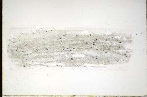 Plane Polarized, S84695
