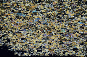 Cross Polarized, S84696