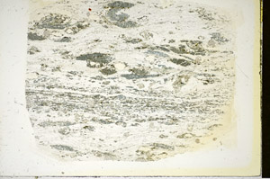 Plane Polarized, S84701