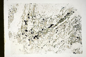 Plane Polarized, S84706