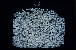 Cross Polarized, S84708