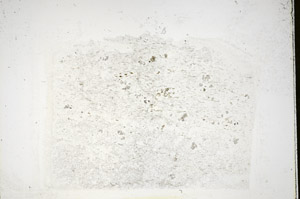 Plane Polarized, S84708