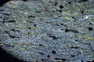 Cross Polarized, S84709