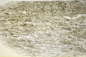 Plane Polarized, S84709