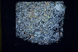 Cross Polarized, S84710