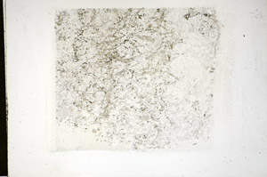 Plane Polarized, S84710