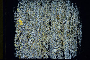 Cross Polarized, S84711