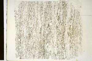 Plane Polarized, S84711