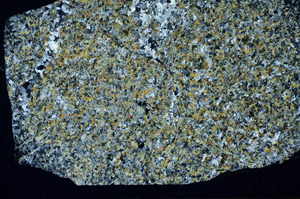 Cross Polarized, S84712