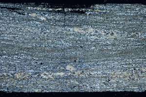 Cross Polarized, S84714