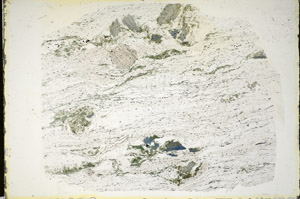 Plane Polarized, S84730