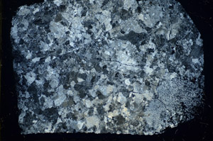 Cross Polarized, S84731