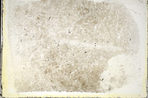 Plane Polarized, S84731
