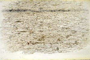 Plane Polarized, S84736