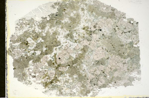 Plane Polarized, S84737