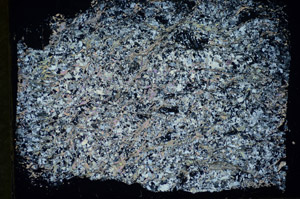 Cross Polarized, S84742