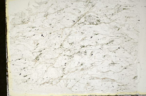 Plane Polarized, S84742