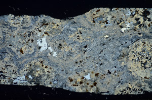 Cross Polarized, S84743