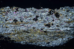 Cross Polarized, S84744