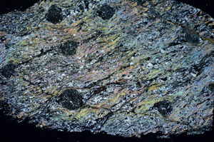 Cross Polarized, S84745