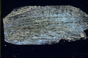 Cross Polarized, S84748