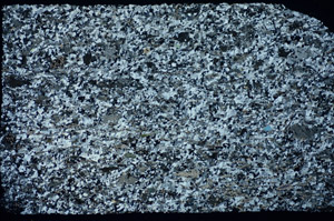 Cross Polarized, S84749