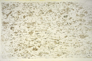 Plane Polarized, S84749