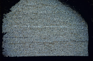 Cross Polarized, S84750