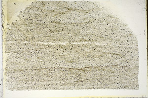 Plane Polarized, S84750