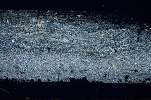 Cross Polarized, S84751