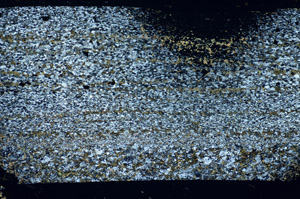 Cross Polarized, S84753