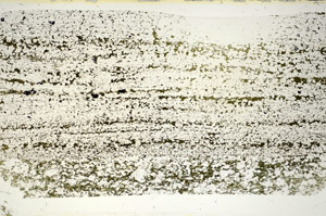 Plane Polarized, S84753