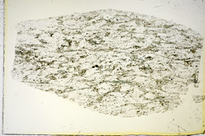 Plane Polarized, S84754